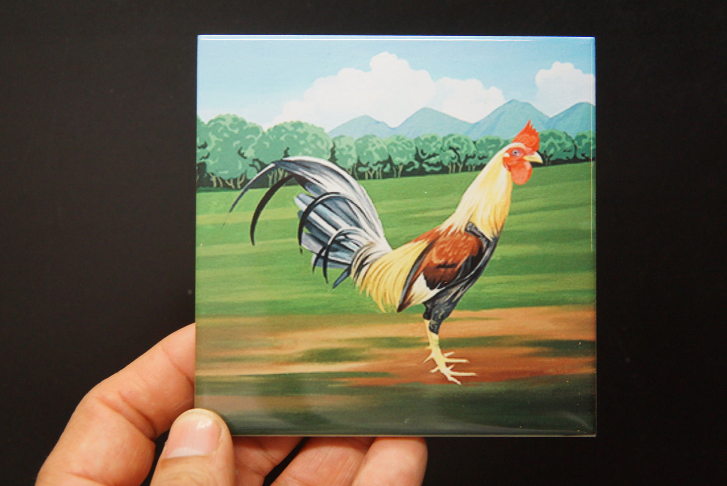 El Gallo Coaster