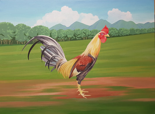 El Gallo Coaster