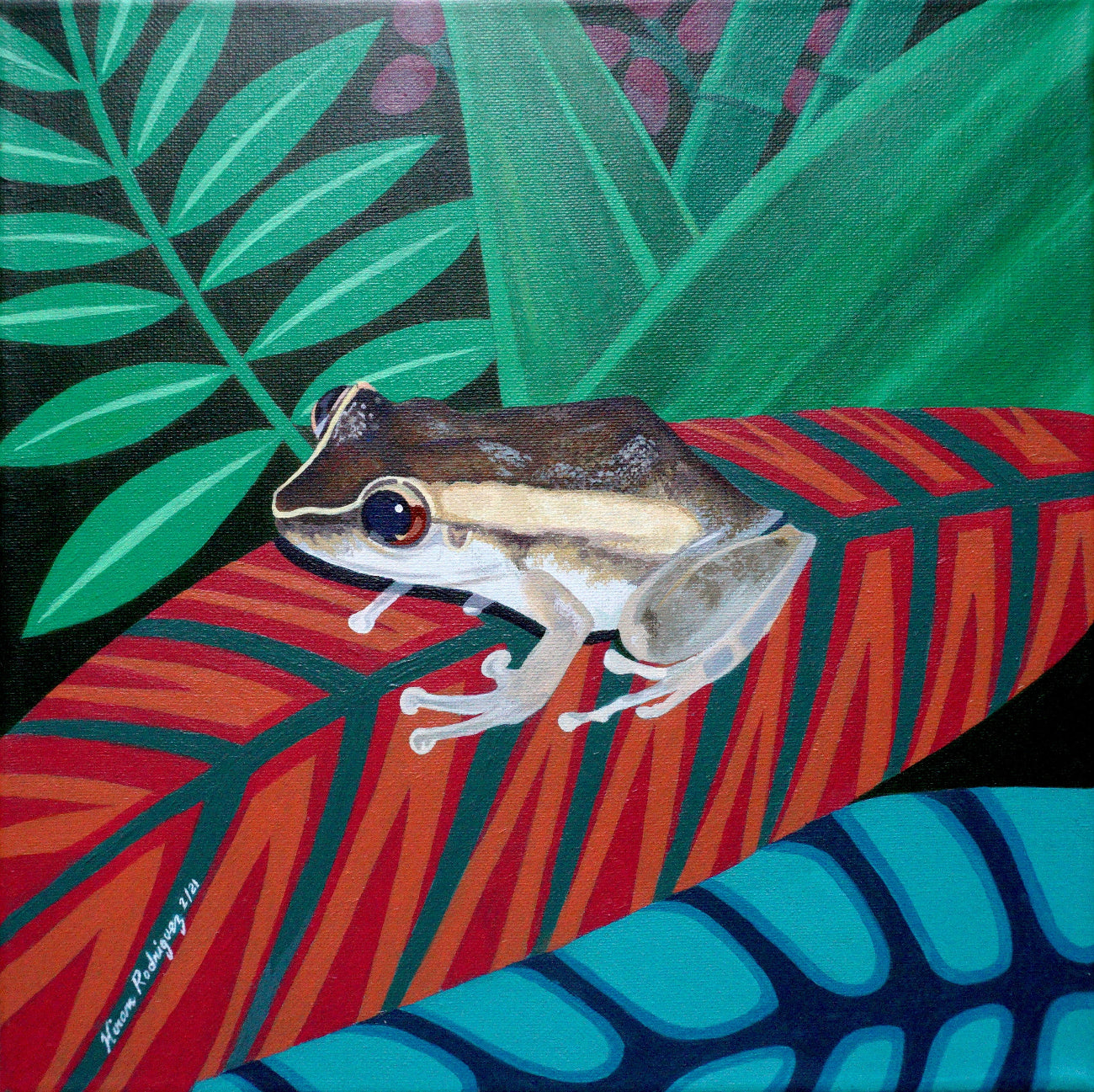 El Coqui Coaster